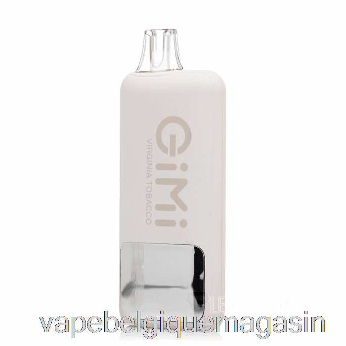 Vape Belgique Flum Gimi 8500 Tabac Jetable Intelligent Virginia